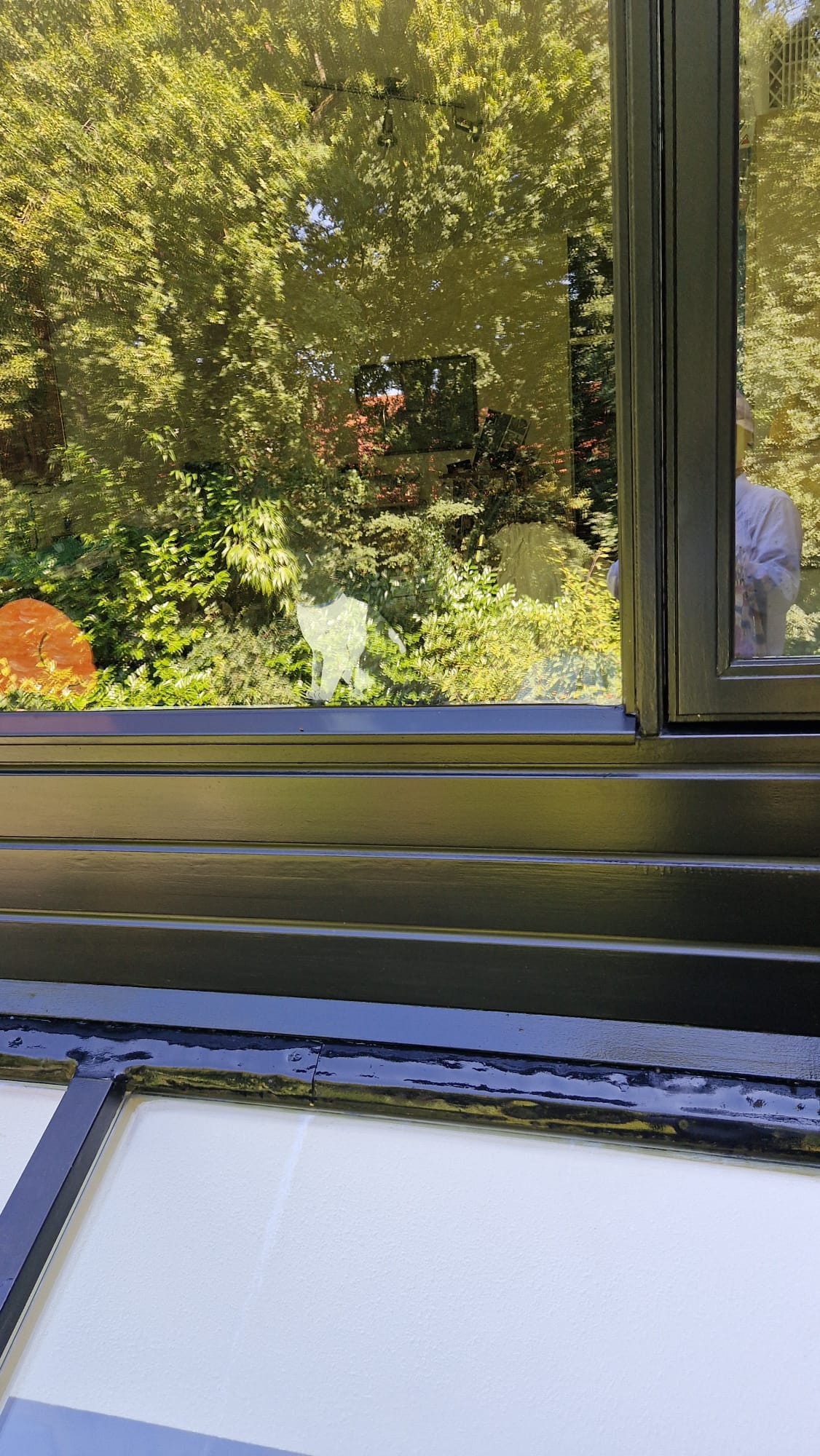 Kozijn 2 na schilderwerk